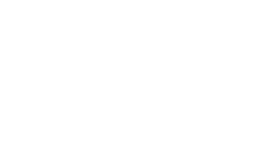 introTitle